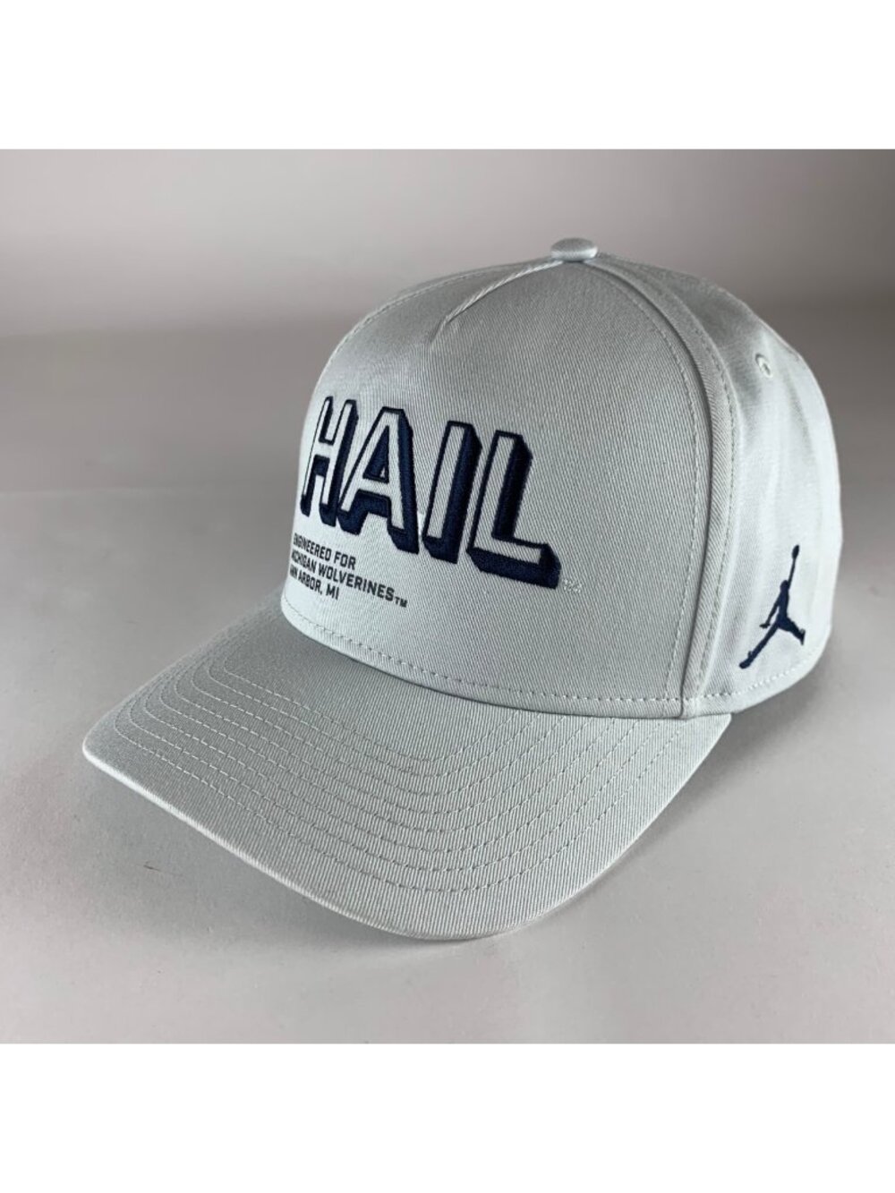 Michigan Wolverines NCAA Gray Jordan Brand HAIL Snapback Hat Mens M/L